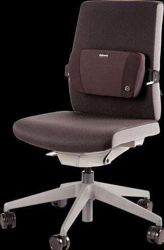 Actual product image Fellowes Back support Plush Touch