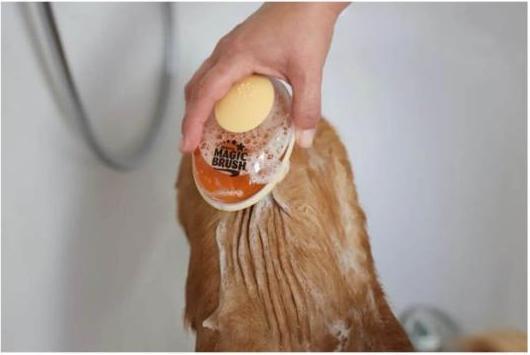 Produktbild Kerbl Badebürste (Hund, Katze)