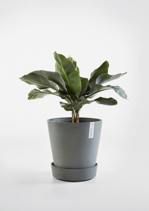 Immagine prodotto Ecopots Piattino su ruote
