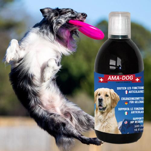 Image du produit Ama-Dog 500ml (Junior, Senior, Adulte, 1 pcs, 500 g)