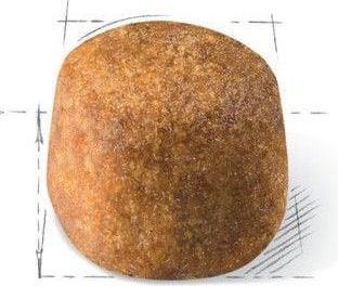 Immagine prodotto Royal Canin Coon del Maine (Adulto, 1 pz., 400 g)