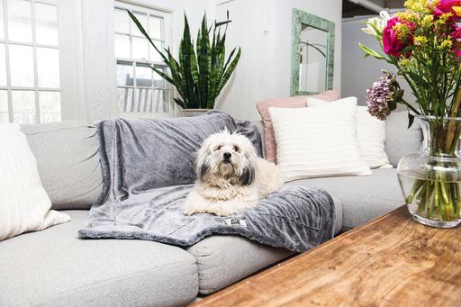 Productafbeelding Dog Gone Smart Nano Plaid Chill Kuzzi (Hond)