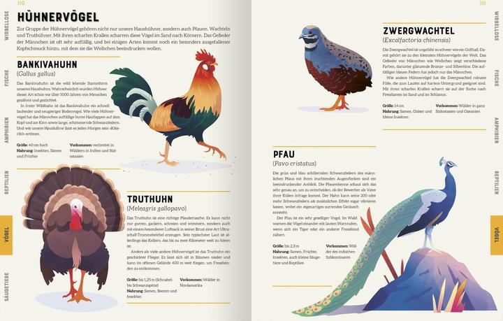 Produktbild Das grosse Lexikon der Tiere (Deutsch, Jules Howard, Andreas Jäger, Jarom Vogel, 2022)