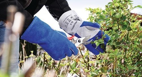 Produktbild Hase Safety Gloves Schweisserhandschuhe Mühlheim Blue Gr.10 Grösse 10 blau/grau (10)