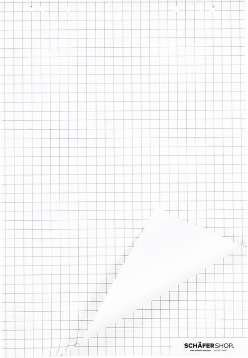 Actual product image Schäfer Shop Flipchart pad, 80 g/m²