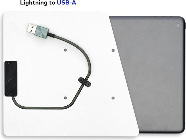 Actual product image Displine Companion Wall Home tablet wall mount Suitable for brand (tablet): Apple 25.9cm (10.2/)