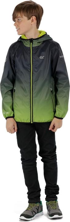 Produktbild Regatta Printed Lever Jacket Kids (104)