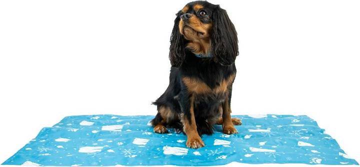 Immagine prodotto Ancol Ice Paws Tappetino Rinfrescante per Cani (Cane)