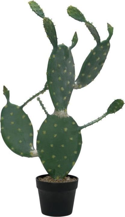 Actual product image Europalms Leaf Cactus, Artificial Plant, 76cm (76 cm)
