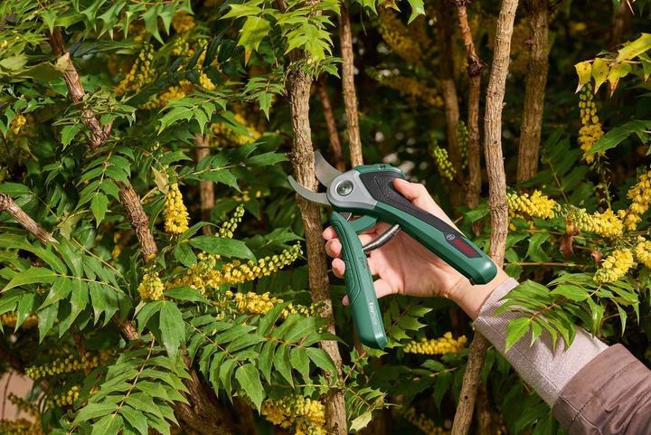 Immagine prodotto Bosch Home & Garden Easy Prune con custodia morbida