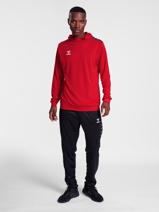 Actual product image hummel Hmlauthentic Pl Hoodie (XS)