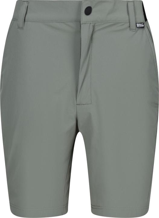 Regatta Travel Light Shorts (33)