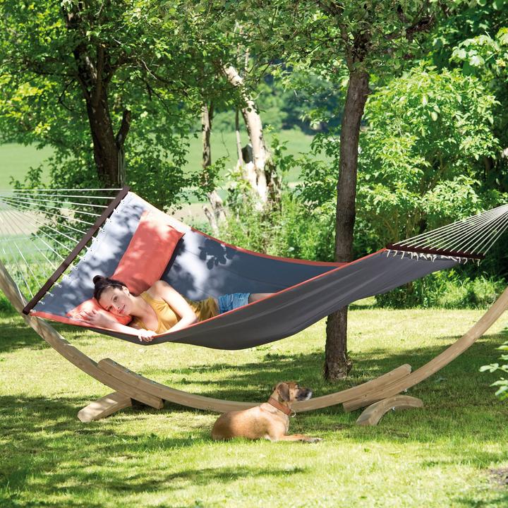 Image du produit Amazonas Apollo (160 kg)