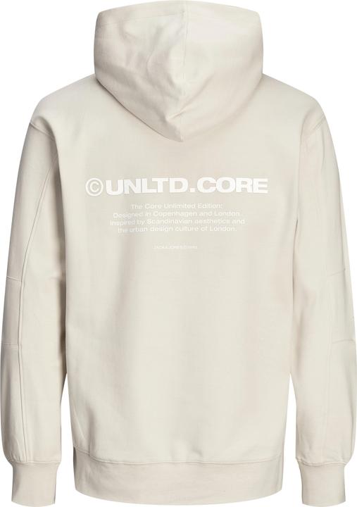 Image du produit Jack & Jones Jcoaero Print Sweat Hood Noos (L)