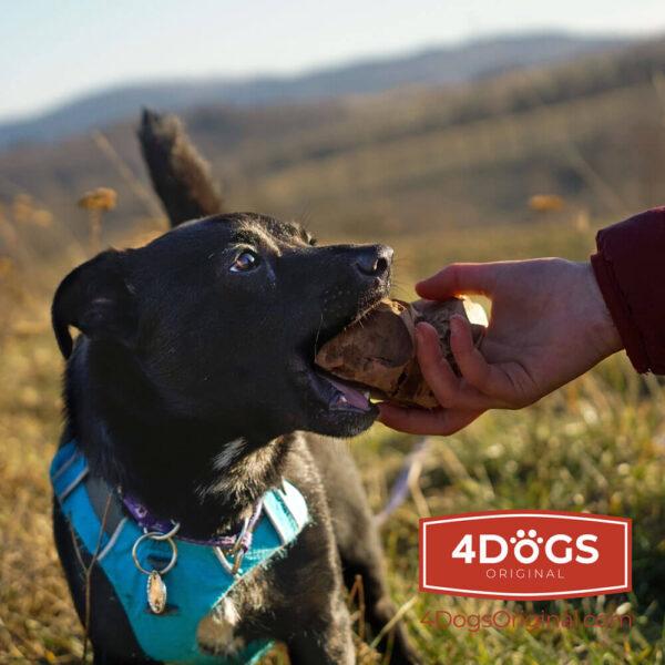 Produktbild 4Dogs Original Korzen xl (Kauspielzeug Hund)