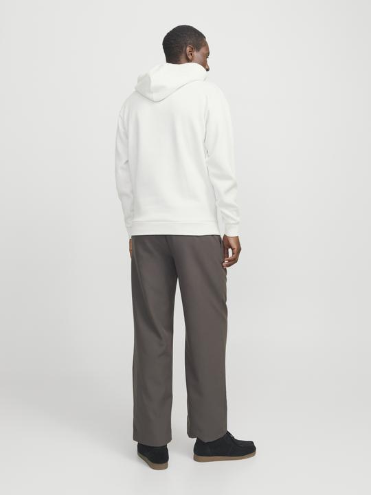 Actual product image Jack & Jones Jjebradley Sweat Hood Noos (M)