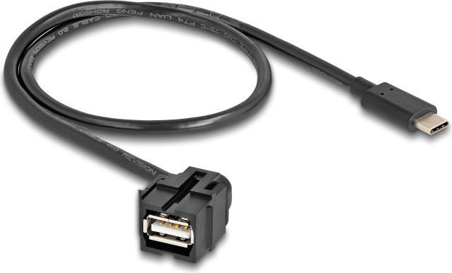 Produktbild Delock Keystone Modul USB 2.0 A Buchse zu USB Type-C Stecker 250° (0.50 m, USB 2.0)