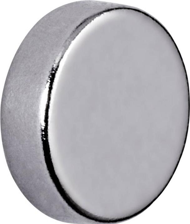 Actual product image Maul Magnet (10 x)