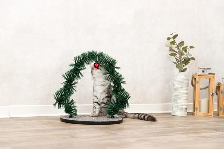 Image du produit Trixie Feuille de massage et de soin du pelage Xmas (Chat)