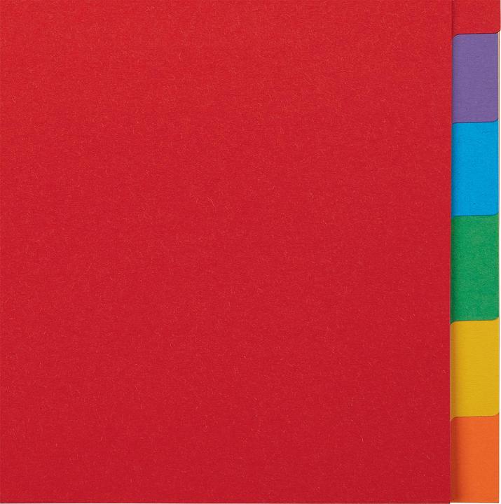 Actual product image Esselte Indice cardboard blank Economy