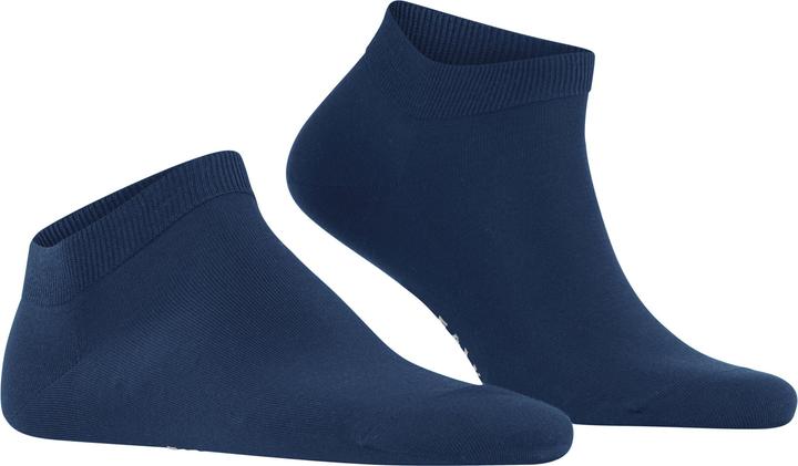 6000 royal blue
