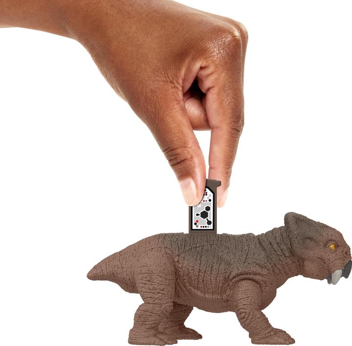 Actual product image Mattel JURASSIC WORLD DANGER PACK Guanlong vs. Lystrosaurus