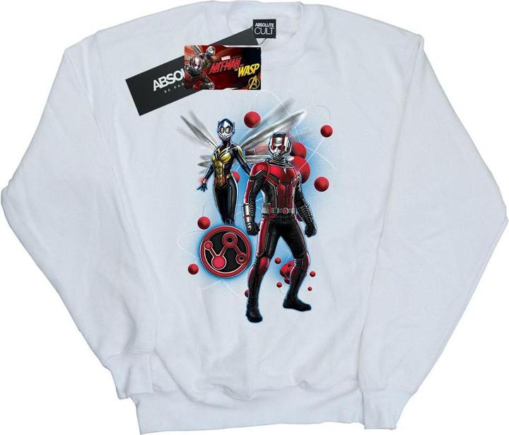 Image du produit Sweat Garçons Ant-Man And The Wasp Particle Pose (140, 146)