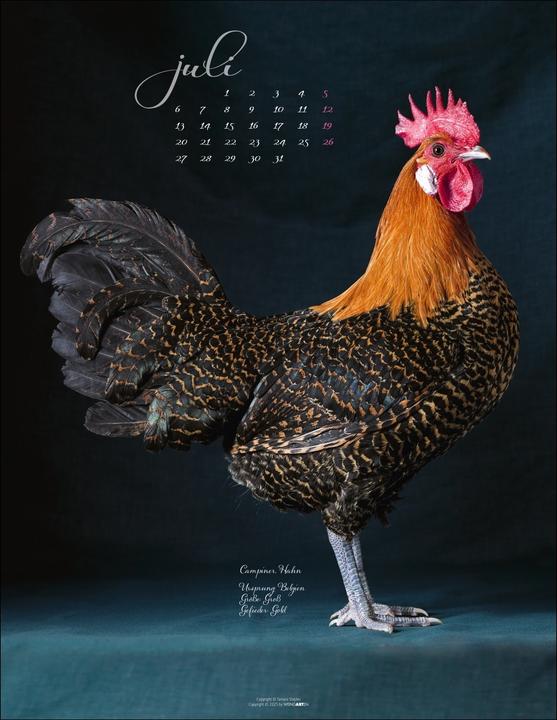 Produktbild Pretty Chicks Kalender 2026 (34 x 44 cm, Deutsch)