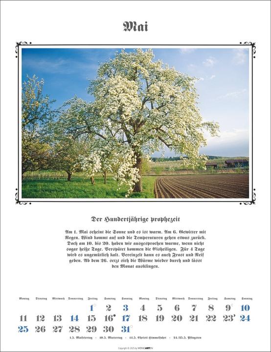Actual product image Der Hundertjährige Kalender 2026 (30 x 39 cm, German)