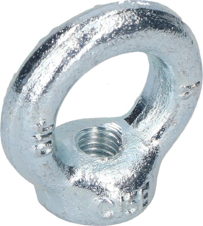 Image du produit Werkstarck Écrous à anneau DIN 582 (M20)