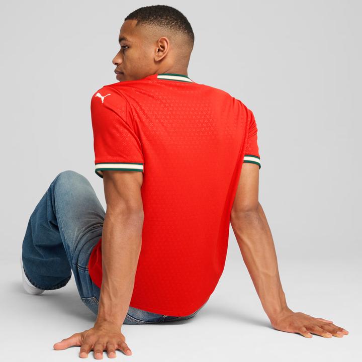 Image du produit Puma FPF Home Jersey Replica (XS)
