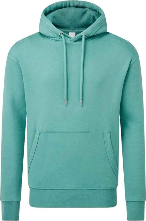 Image du produit Anthem - Sweat à capuche - Homme (M)
