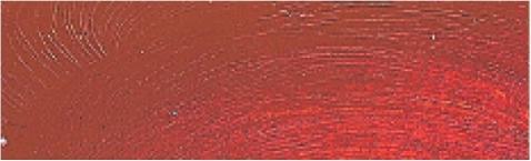 Actual product image Talens Oil Paint Rembrandt Gold Ochre 231 (15 ml)