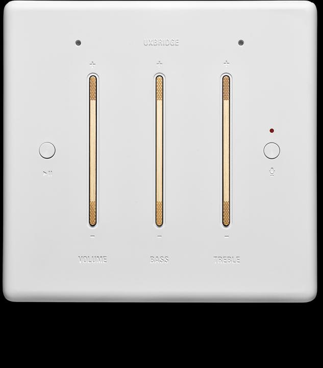Actual product image Marshall Uxbridge Voice Google (Electrical connection)