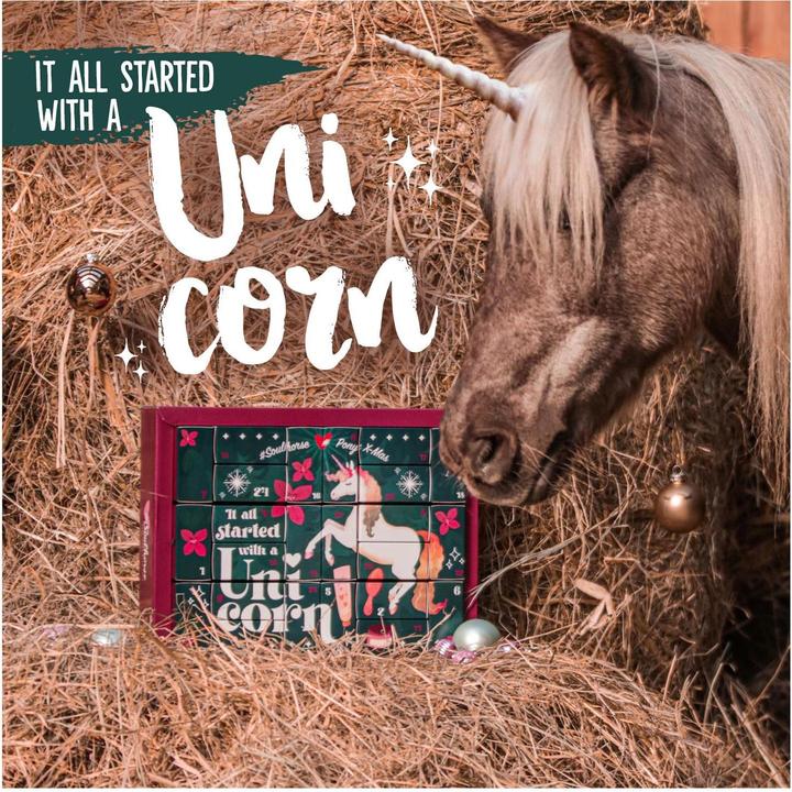Produktbild Soulhorse Probenkalender