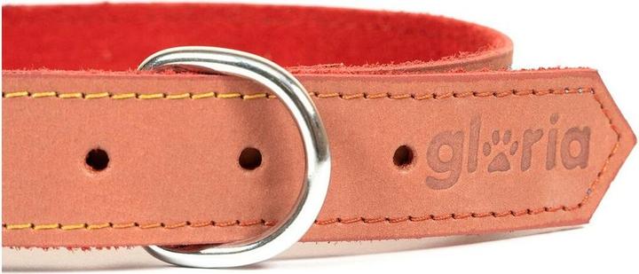 Actual product image Gloria Dog collar Oasis red 65 cm (65 x 3 cm) (3 cm)