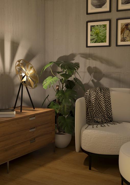 Image du produit EGLO 43808 CASTANUELO E27 Lampe de table 370x270mm Noir Or (E27)