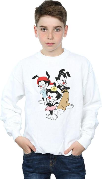 Produktbild Universal Textiles Sweatshirt Jungen Dot Wakko und Yakko (128)