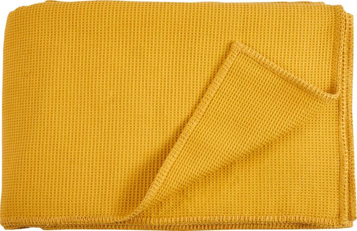 Produktbild Living Home Pique (150 x 210 cm)