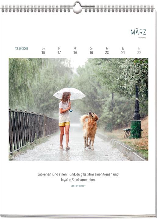 Actual product image Literarischer Hunde-Kalender 2026 (24 x 32 cm, German)