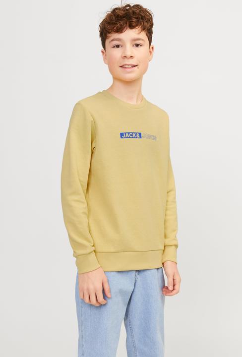 Produktbild Jack & Jones Gedruckt Sweatshirt mit Rundhals Für jungs Sweatshirt mit Rundhals (164)