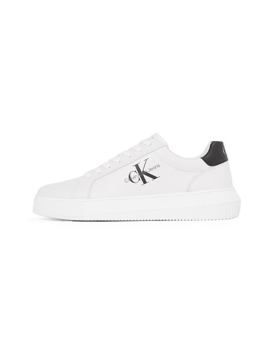 Black, Bright White