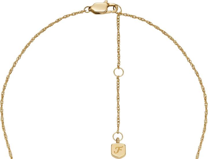 Immagine prodotto Fossil Kette SUTTON (Acciaio inossidabile, 40 cm)