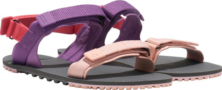 Actual product image Xero Shoes D-Trail (39.5)