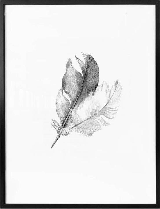 Produktbild Trenddeko Federn (24 x 30 cm)