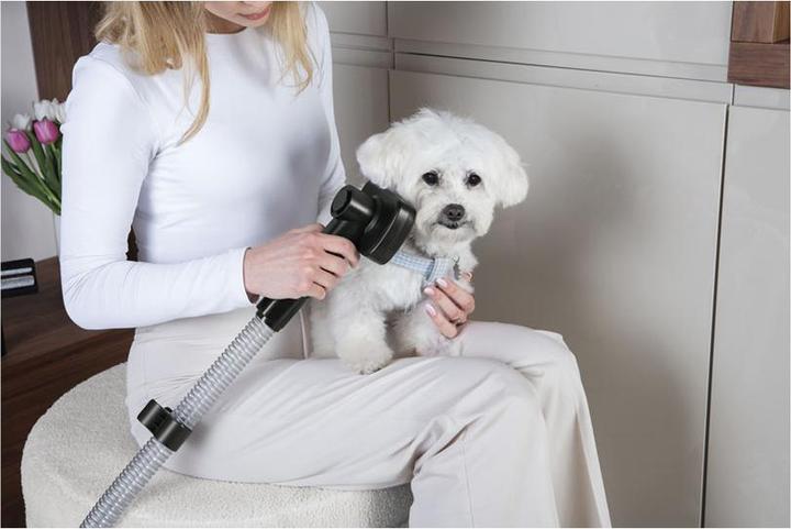 Produktbild BerlingerHaus Haus Staubsauger Pet Black Rose Collection