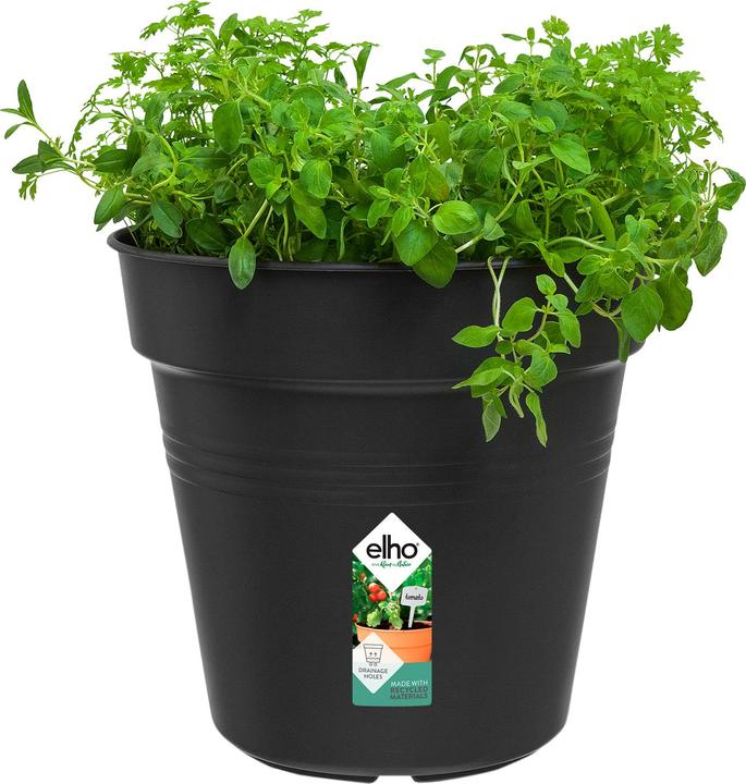 Produktbild Elho Green Basics (24 cm)