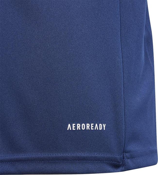 Image du produit adidas FORTORE23 JSY Y (152)