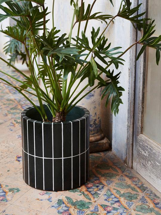 Immagine prodotto Ferm Living Pianta a pilastro (40 cm)