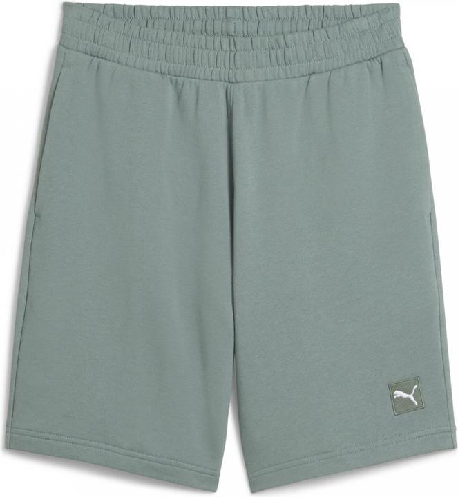 Actual product image Puma ESS ELEVATED Shorts 9" TR (L)